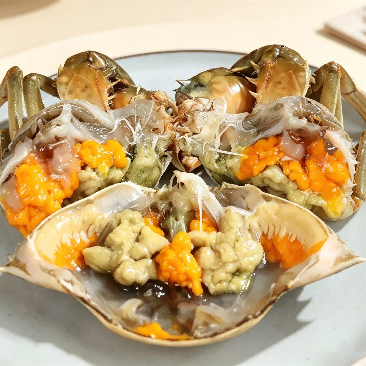 Live Red-Roe Mud Crab