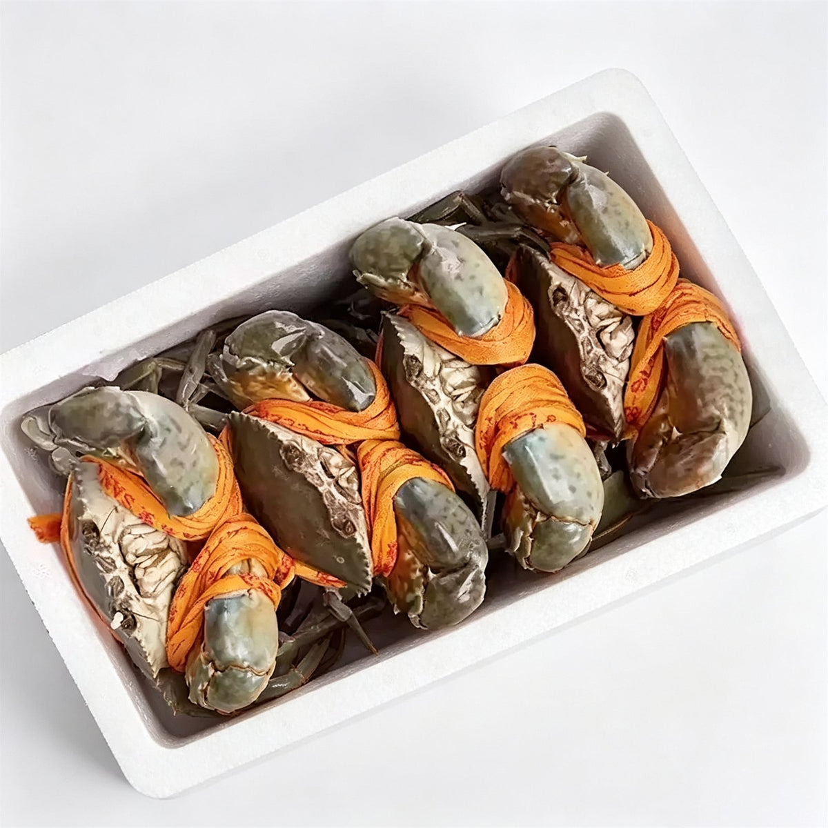 Live Red-Roe Mud Crab