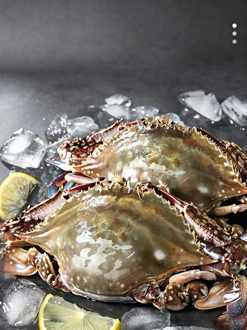 Frozen Raw Giant Swimming Crab